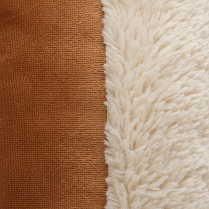 Close up castanho